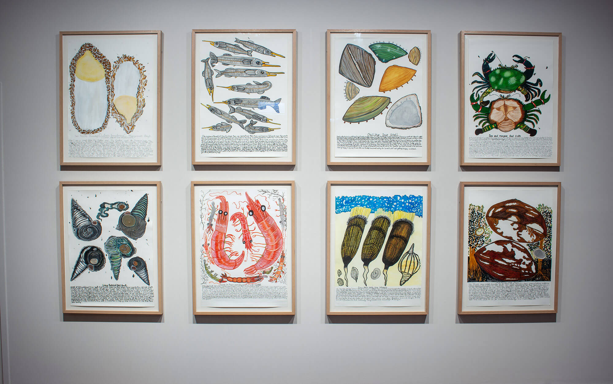 Heather Wunjarra Koowootha,"Collection in Focus" exhibition installation, Cairns Art Gallery, 2025